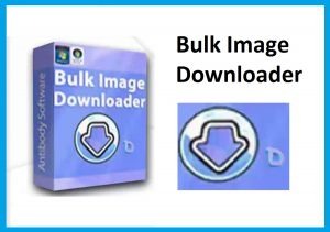 Bulk Image Downloader 6.45.0 Crackeado + Serial Number PT Banner
