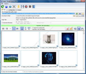 Bulk Image Downloader 6.45.0 Crackeado + Serial Number PT Screenshot