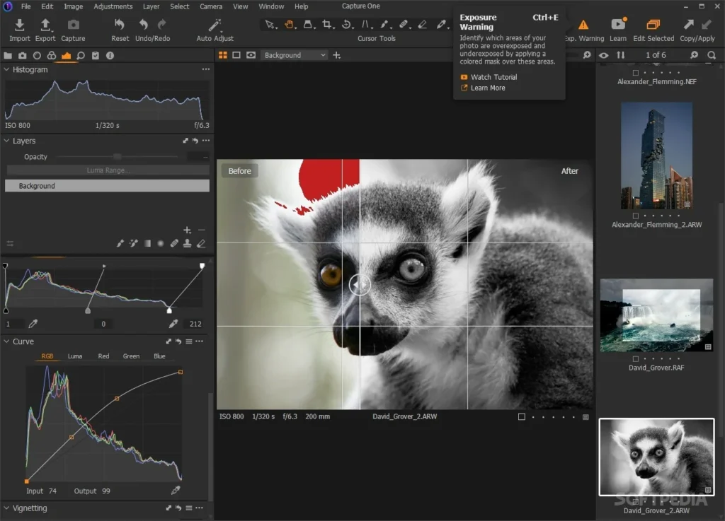 Capture One Pro Crackeado